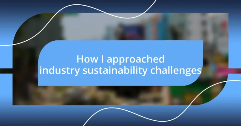 How I approached industry sustainability challenges